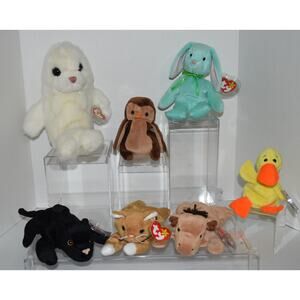 Beanie Baby Bundle - Lot E - Qty of 7